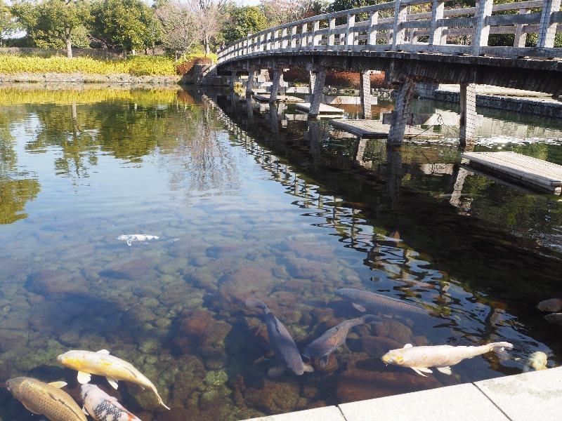 白鳥庭園 出会橋