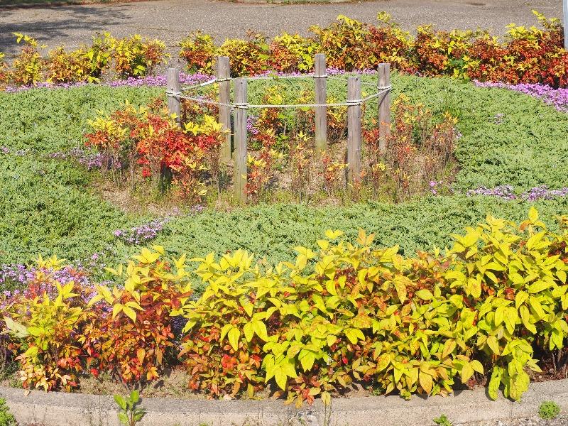 清洲公園 緑の遺産