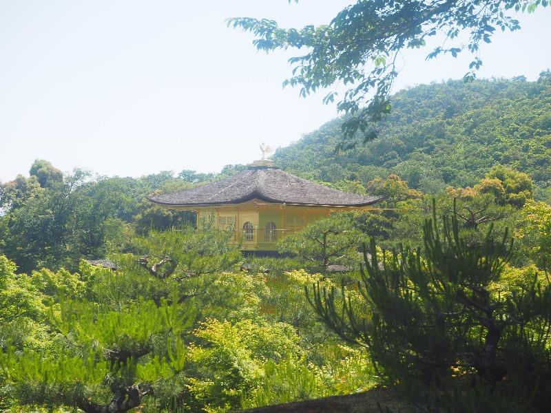 金閣寺 夕佳亭付近から舎利殿