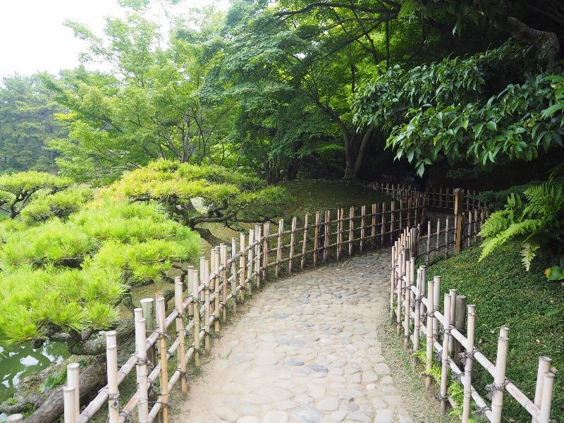 栗林公園 楓岸(2)