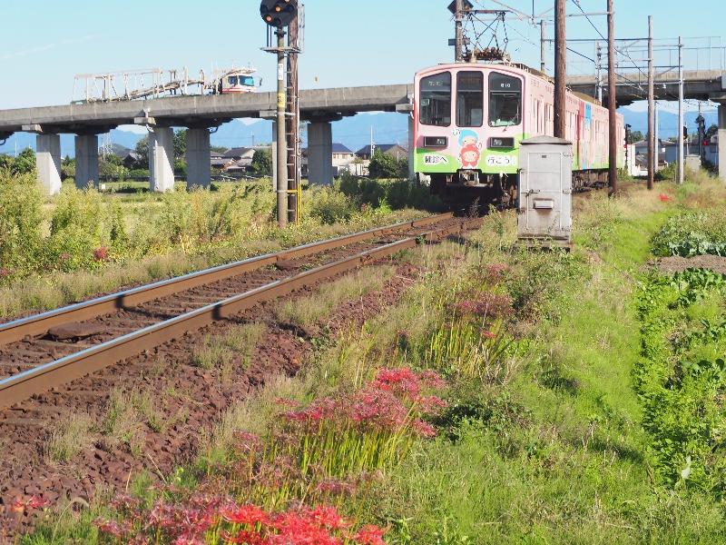 近江鉄道 武佐3号踏切 800系電車(2)