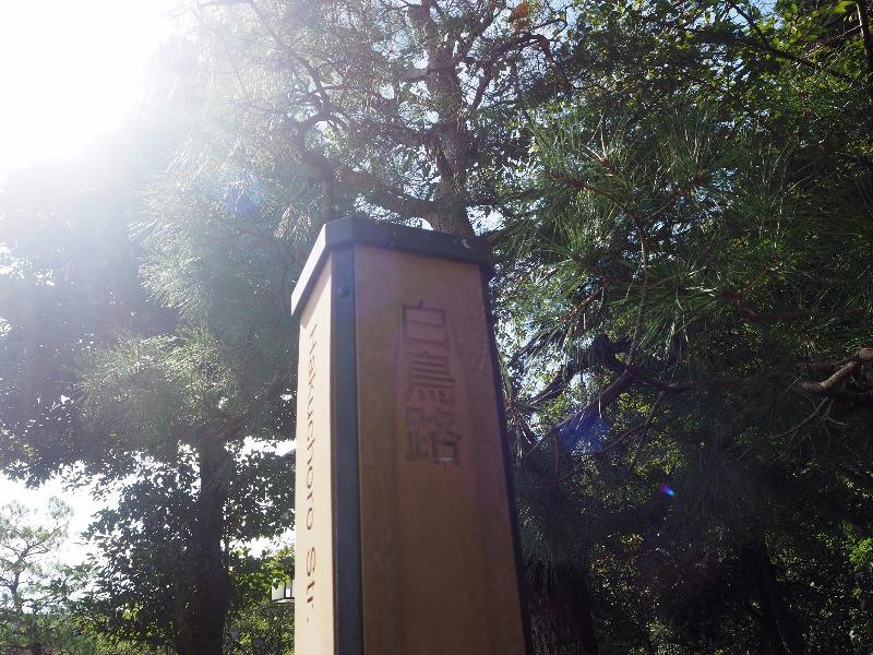 金沢城公園 白鳥路