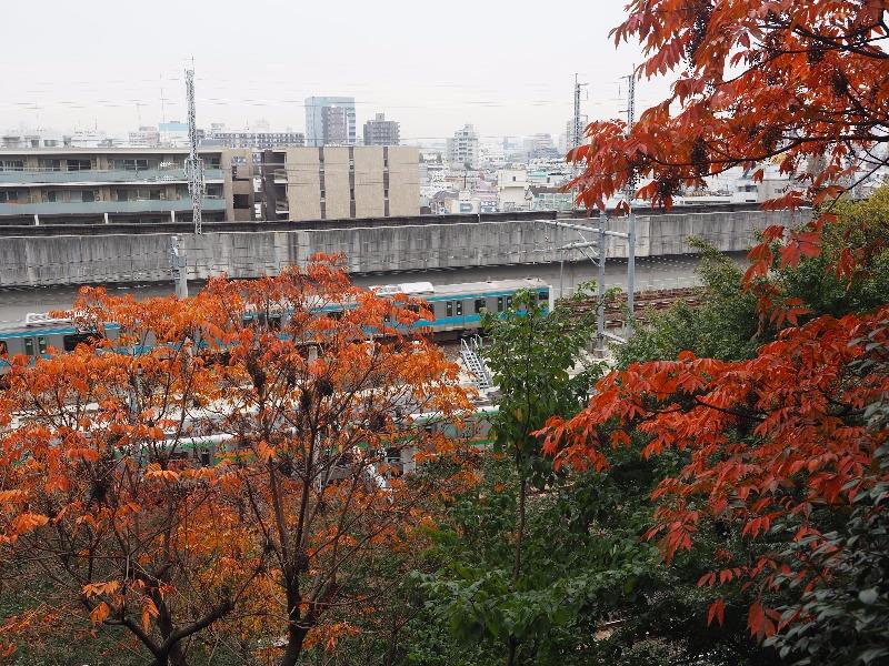 飛鳥山公園 飛鳥山さくら亭 京浜東北線 北行・南行（離合）