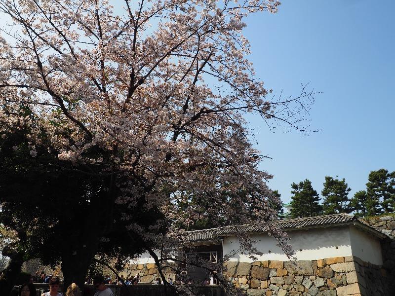 名古屋城 表二之門