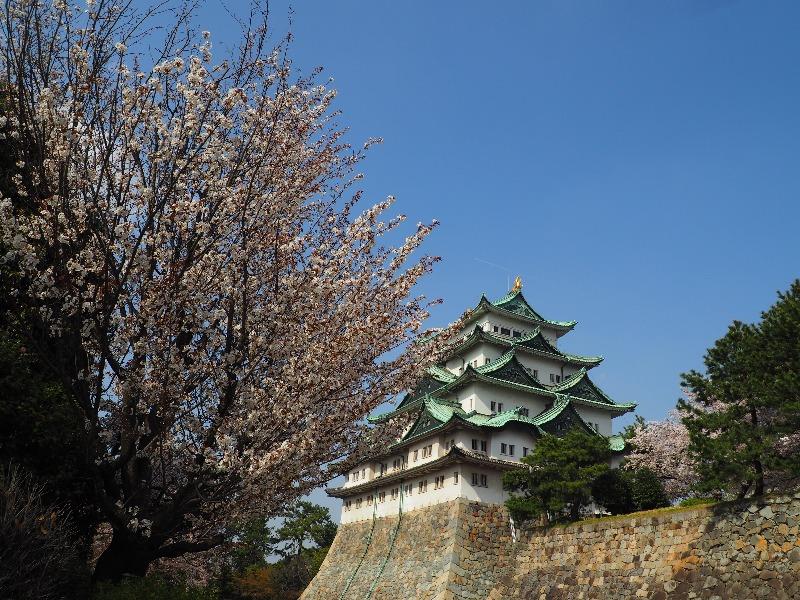 名古屋城 剣塀