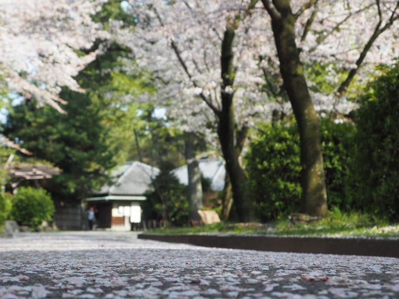 名古屋城 御深井丸