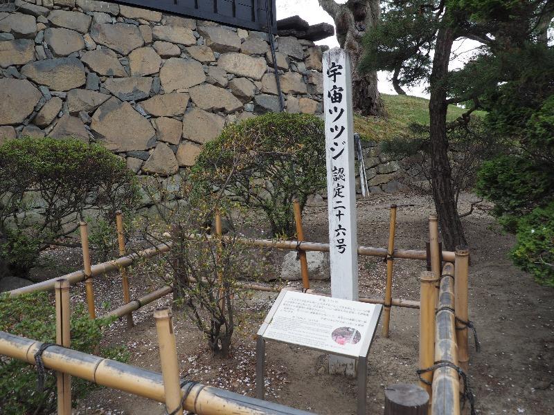 国宝 松本城 黒門 宇宙ツツジ