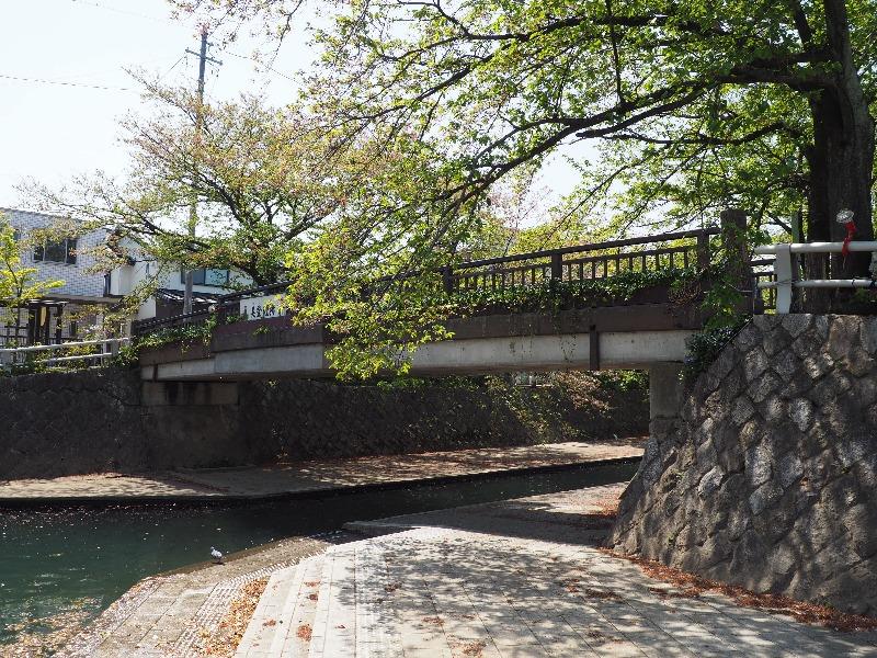 水門川から美登鯉橋(01)