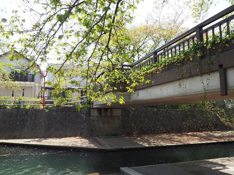 四季の広場 水門川から美登鯉橋(2)
