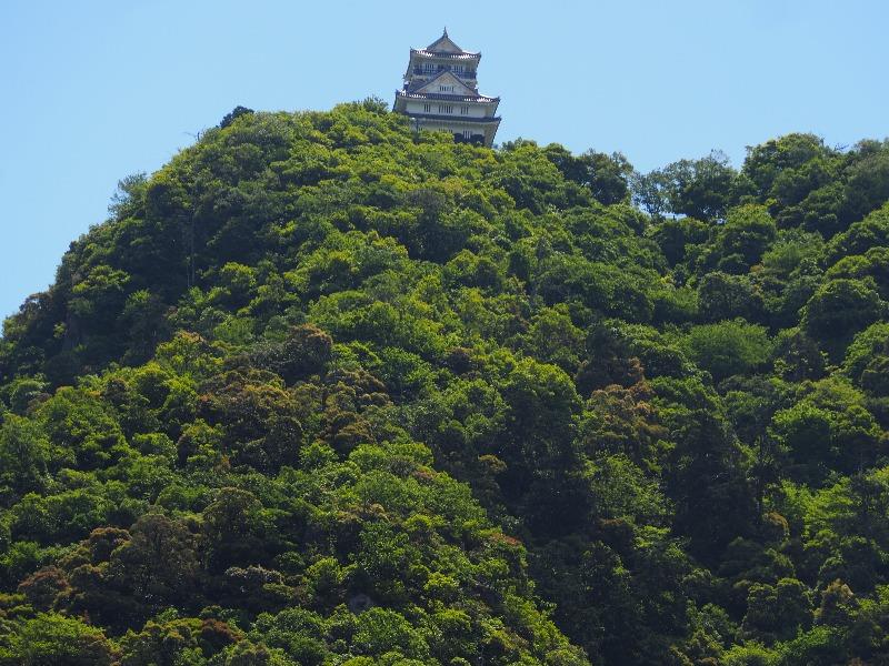 岐阜バス「長良橋」バス停から金華山、岐阜城