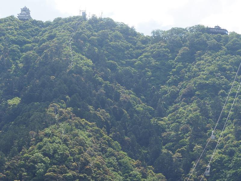 忠節放水路 霞橋から金華山、金華山ロープウェイ、岐阜城