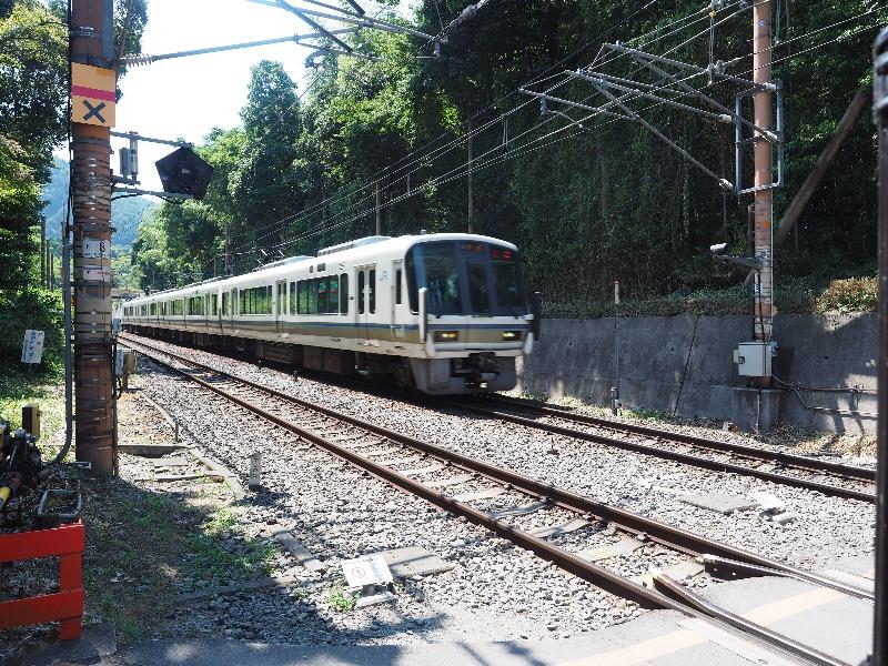 嵐山 竹林の小径(7)JR山陰本線 223系京都方面行き