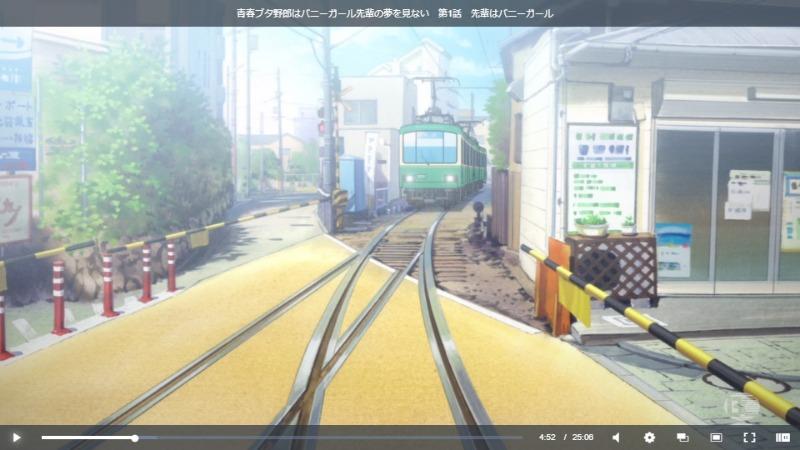 青ブタ