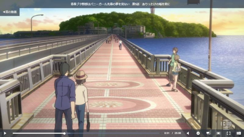 青ブタ