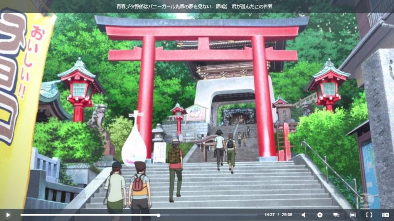 青ブタ
