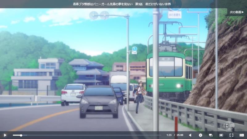 青ブタ(青春ブタ野郎はバニーガール先輩の夢を見ない)