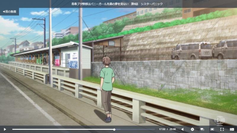 青ブタ