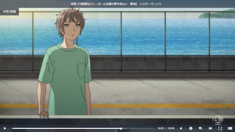 青ブタ(青春ブタ野郎はバニーガール先輩の夢を見ない)