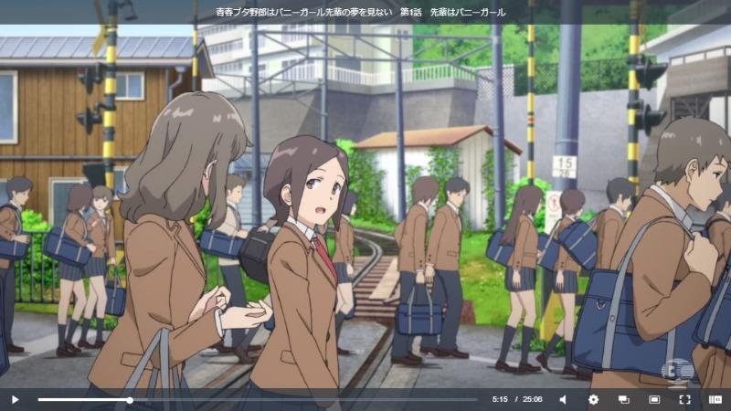 青ブタ(青春ブタ野郎はバニーガール先輩の夢を見ない)