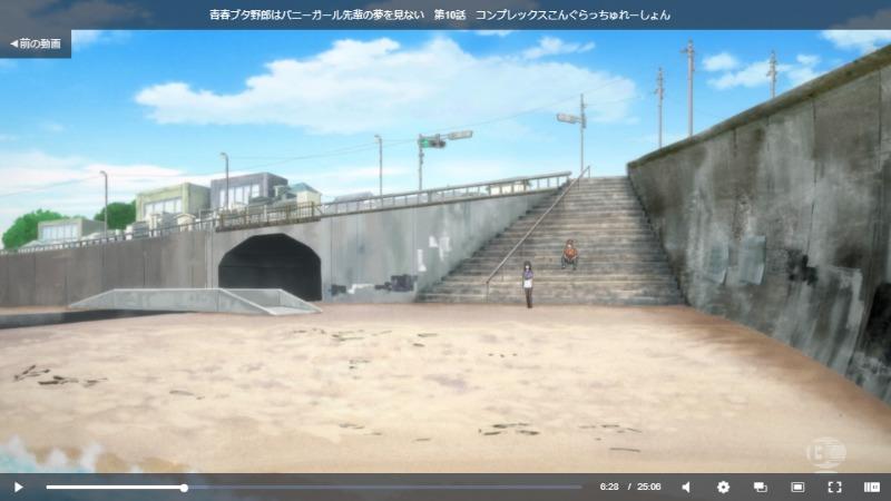 青ブタ(青春ブタ野郎はバニーガール先輩の夢を見ない)