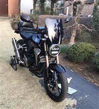 CB250R_デイトナ_ウインドシールドSS(グロム用)取付