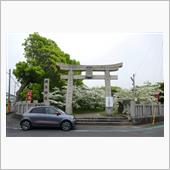 2024/4/28　岡湊神社のナンジャモンジャ