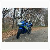 &amp;quot;スズキ ジーエスエックス250アール&amp;quot;の愛車アルバム