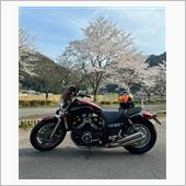 &amp;quot;ヤマハ ブイマックス&amp;quot;の愛車アルバム