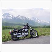 &amp;quot;ハーレーダビッドソン XL1200S&amp;quot;の愛車アルバム
