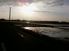 雨降り止んだその後は