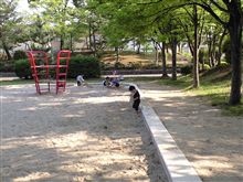 いい天気♪ 