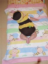 蜂が好きなので