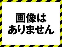 タイガーマスクが運転するバモス