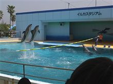 首はまだ痛いけど・・
