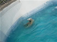 Tokuyama Zoo