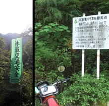林道：東川千本谷線