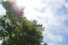 夏の気配･･･？