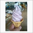 今日のおめざ