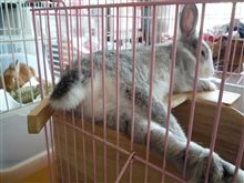 セクシーショット！！