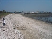 近くの海岸へ