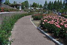 荒牧バラ公園