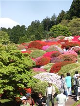 ＧＷは続くよ箱根まで-ＤＡＹ２