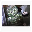 大量・・・