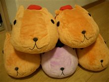 収穫しすぎ…