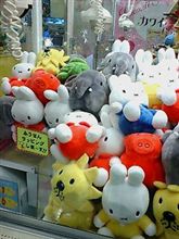 捕獲…ならず…