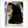 仕事で凹んだ時・・
