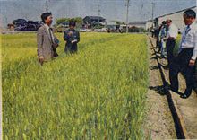 新聞にカラー写真入りで掲載