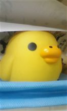 来てます