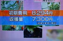 家庭菜園は得？損？