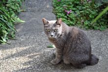 おじさん二人、のんびりドライブ